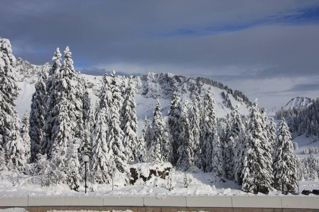 Appartement Au Sommand Au Pied Des Pistes Mieussy Buitenkant foto