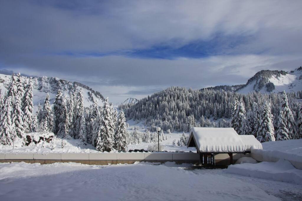 Appartement Au Sommand Au Pied Des Pistes Mieussy Buitenkant foto