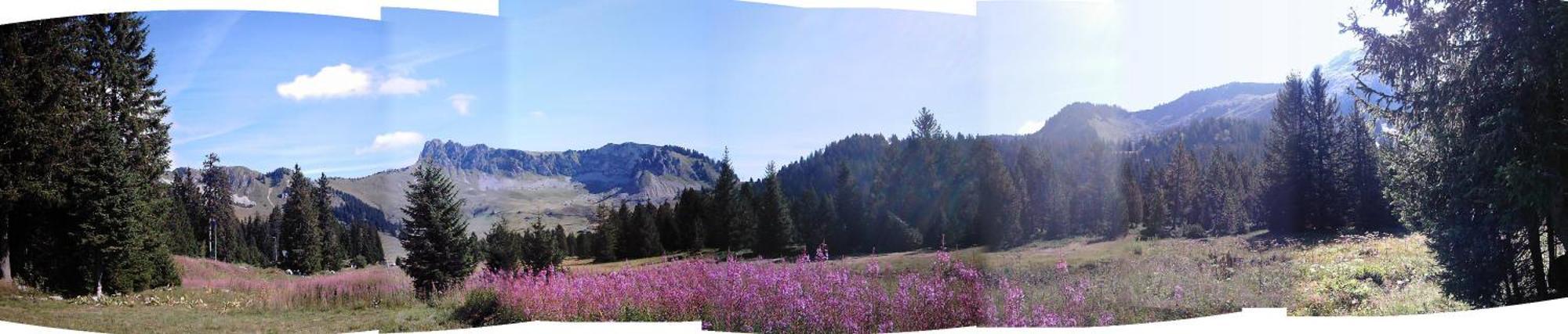 Appartement Au Sommand Au Pied Des Pistes Mieussy Buitenkant foto